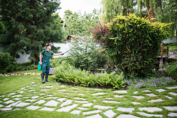 Best Best Pest Control Companies  in Masury, OH