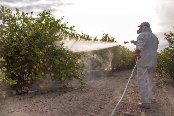 Best Residential Pest Control  in Masury, OH