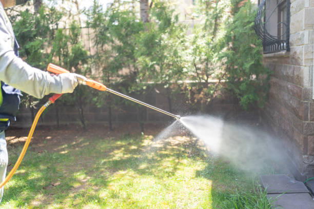 Best Affordable Pest Control Services  in Masury, OH
