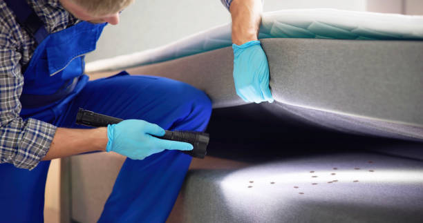 Flea Control Services in Masury, OH