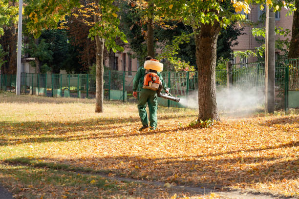 Trusted Masury, OH Pest Control Experts