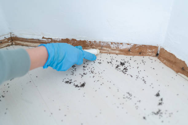 Best Wildlife Control Services  in Masury, OH